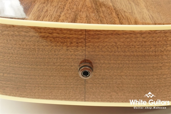 Hummingbird Studio - Walnat Burst